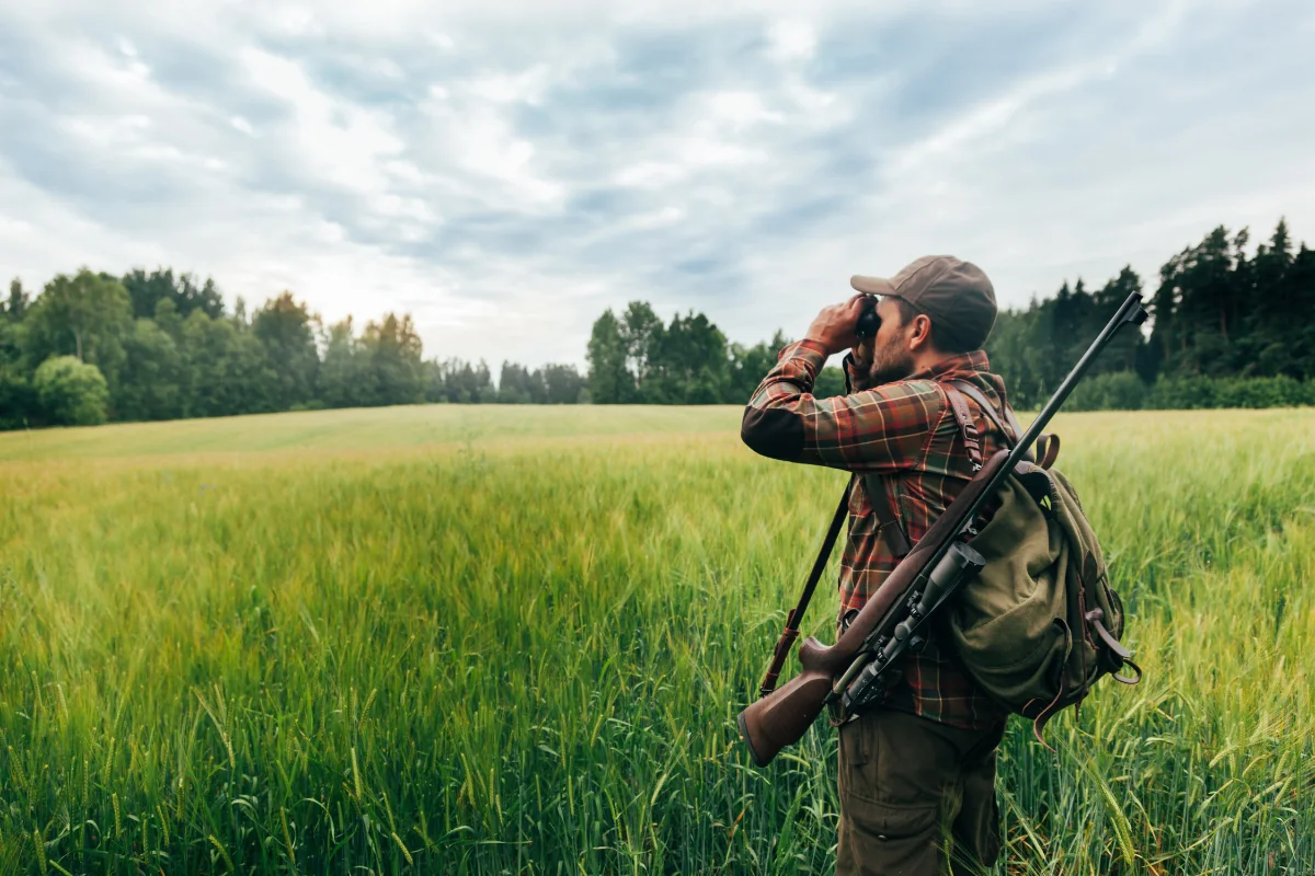 Startup Marketing Hunting